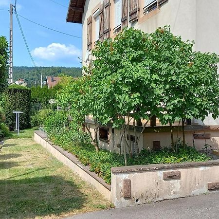 Studio D'Hotes A 10 Km De Gerardmer Ле-Толи Экстерьер фото