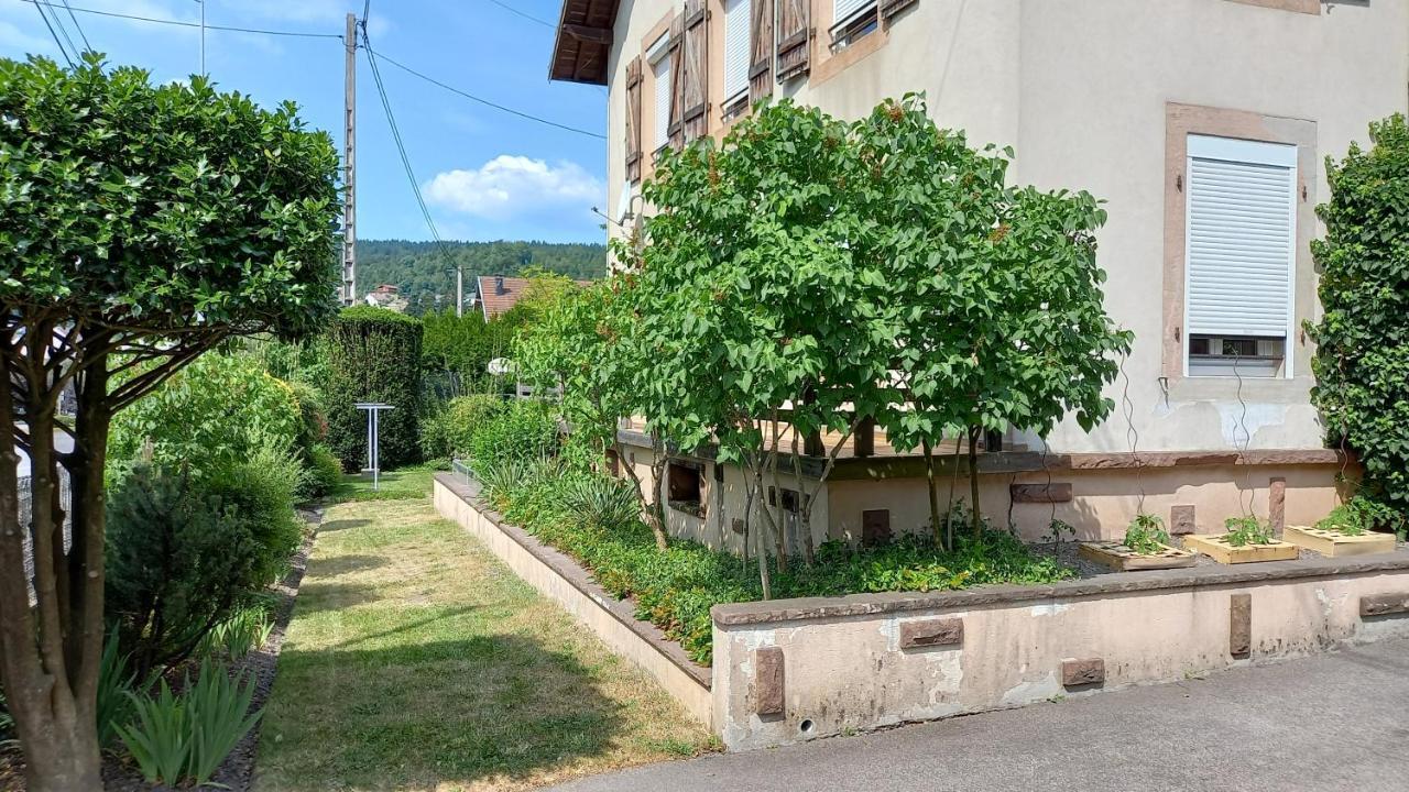 Studio D'Hotes A 10 Km De Gerardmer Ле-Толи Экстерьер фото